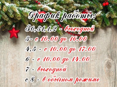 С Наступающим Новым годом